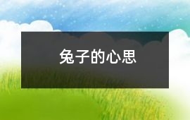 兔子的心思