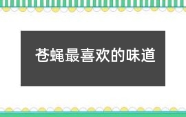 蒼蠅最喜歡的味道