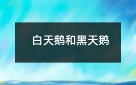 白天鵝和黑天鵝