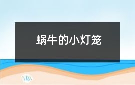 蝸牛的小燈籠