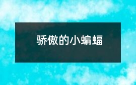 驕傲的小蝙蝠
