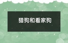 獵狗和看家狗