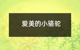 愛美的小駱駝