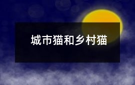 城市貓和鄉(xiāng)村貓