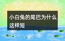 小白兔的尾巴為什么這樣短