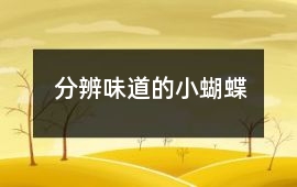 分辨味道的小蝴蝶
