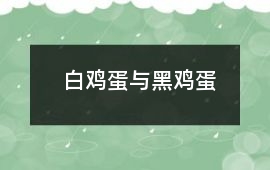 白雞蛋與黑雞蛋