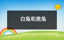 白兔和黑兔