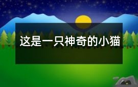 這是一只神奇的小貓