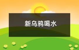 新烏鴉喝水