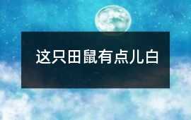 這只田鼠有點兒白