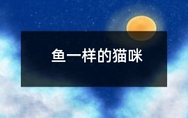 魚一樣的貓咪