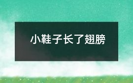 小鞋子長(zhǎng)了翅膀