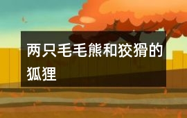 兩只毛毛熊和狡猾的狐貍