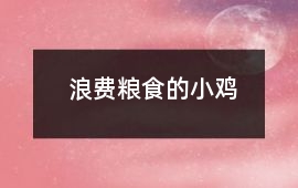 浪費糧食的小雞