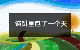 餡餅里包了一個天
