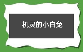 機靈的小白兔