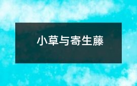 小草與寄生藤