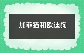 加菲貓和歐迪狗