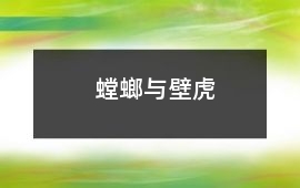 螳螂與壁虎