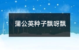蒲公英種子飄呀飄
