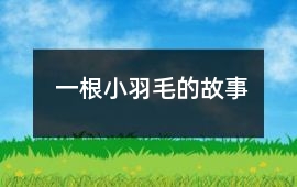 一根小羽毛的故事