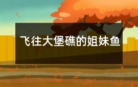 飛往大堡礁的姐妹魚