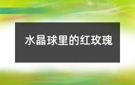 水晶球里的紅玫瑰