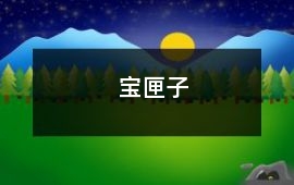 寶匣子