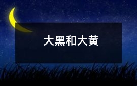 大黑和大黃