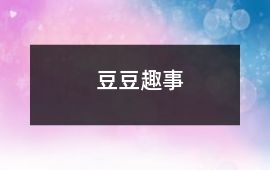 豆豆趣事