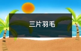 三片羽毛