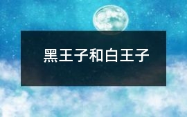 黑王子和白王子