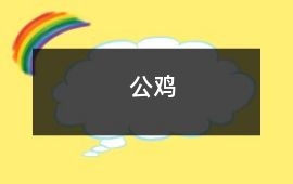 公雞