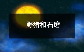 野豬和石磨