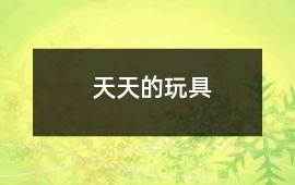 天天的玩具