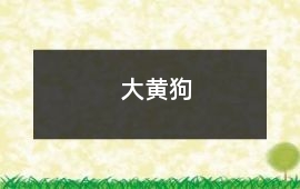 大黃狗
