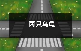 兩只烏龜