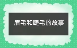 眉毛和睫毛的故事