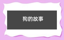 狗的故事