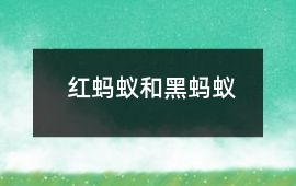 紅螞蟻和黑螞蟻