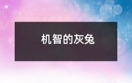 機智的灰兔