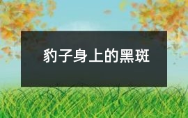 豹子身上的黑斑