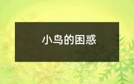 小鳥的困惑