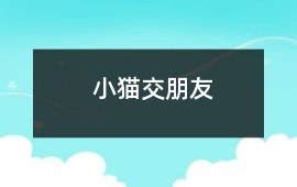 小貓交朋友