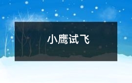 小鷹試飛