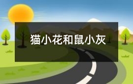 貓小花和鼠小灰