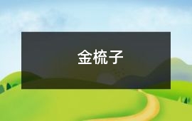 金梳子