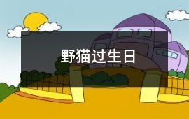 野貓過生日