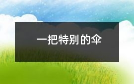 一把特別的傘